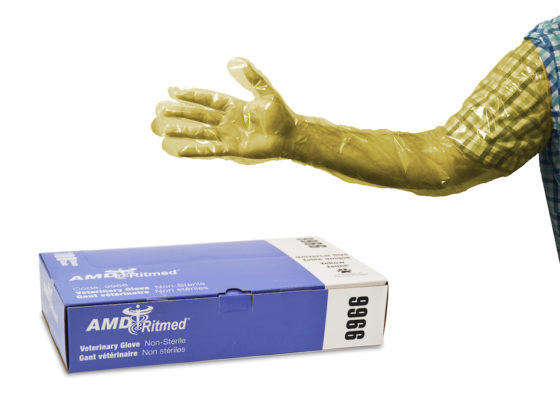 AMD Ritmed® Veterinary Insemination Gloves