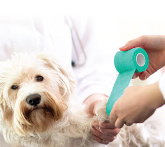 Ritmed® Bandage cohésif